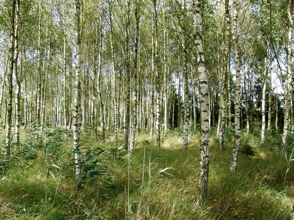 Agroturystyka "Bociek" Bełk Eksteriør billede